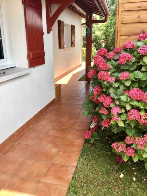 1Km Plage, Agreable Maison 6 Pers Classee 3* Hendaye Exterior photo
